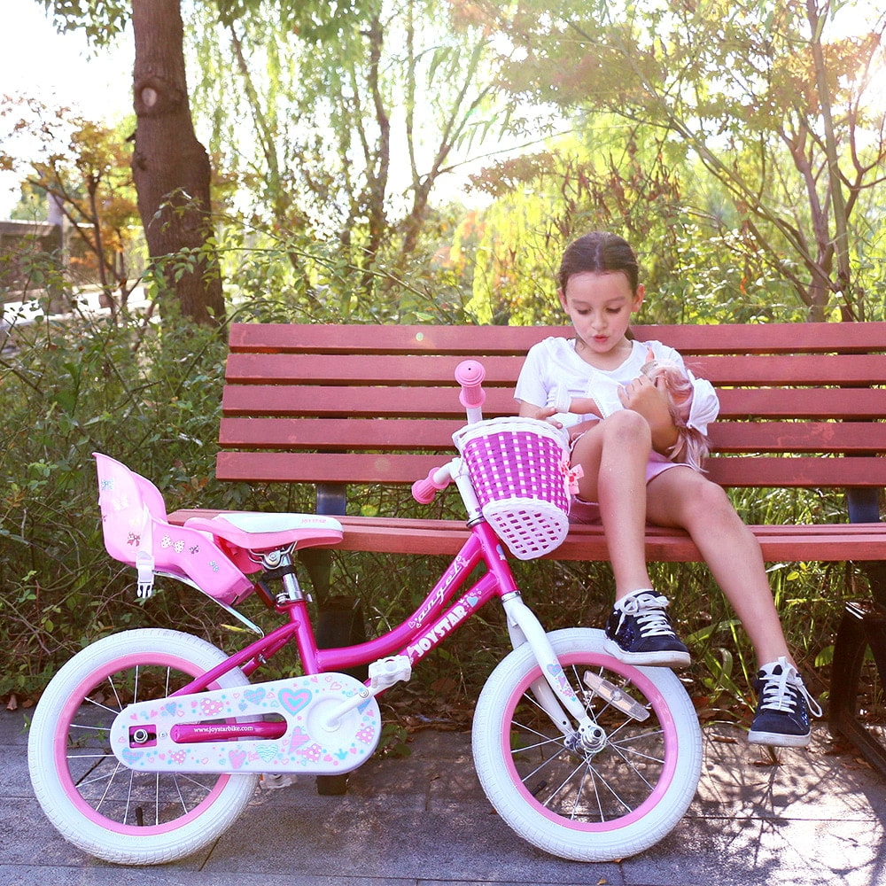bike doll carrier